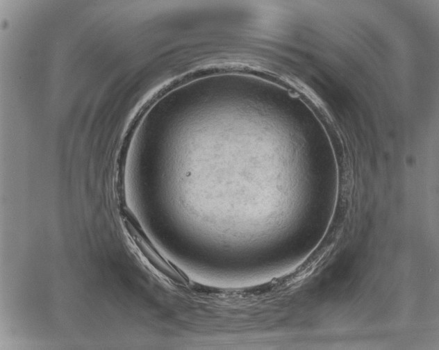 X0000067520799200604101325