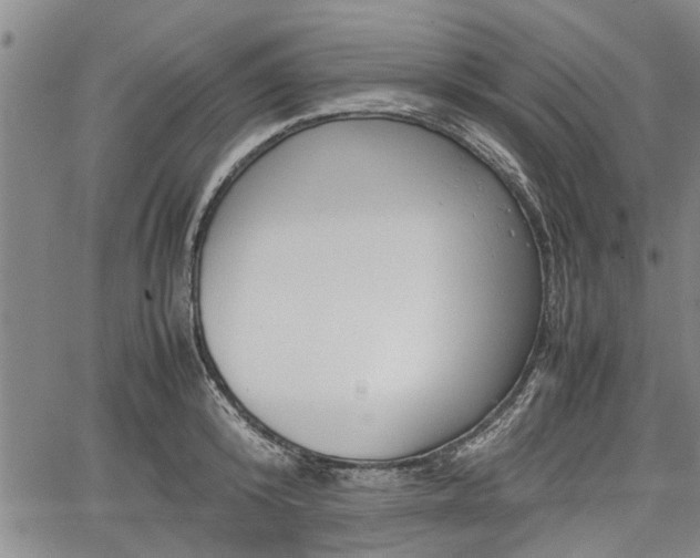 X0000067520800200604101325