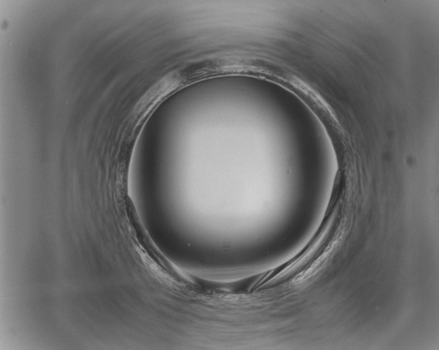 X0000067520801200604101325