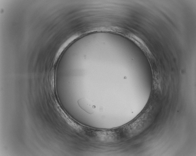 X0000067520804200604101325