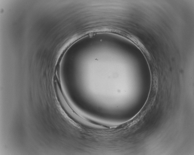 X0000067520805200604101325