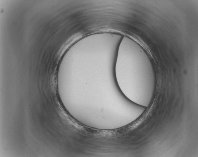 X0000067520806200604101325