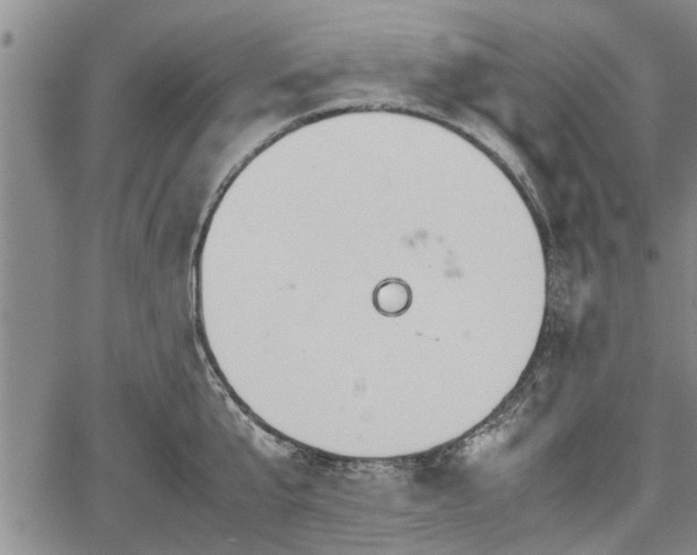 X0000067520807200604101325