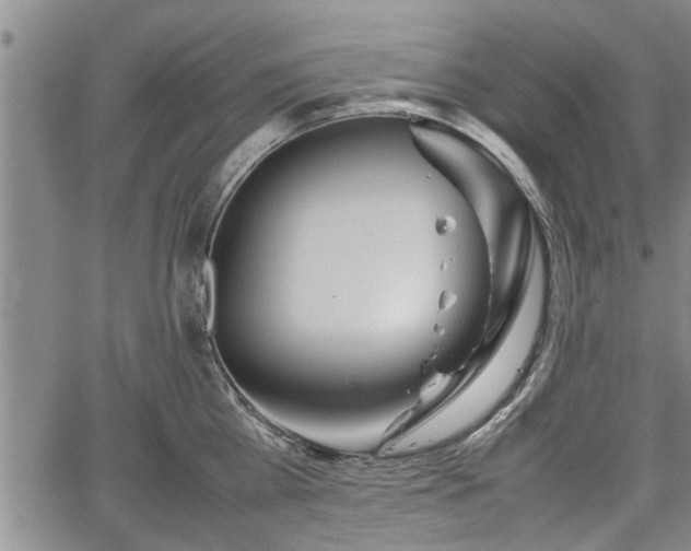 X0000067520809200604101325