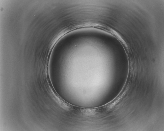 X0000067520810200604101325