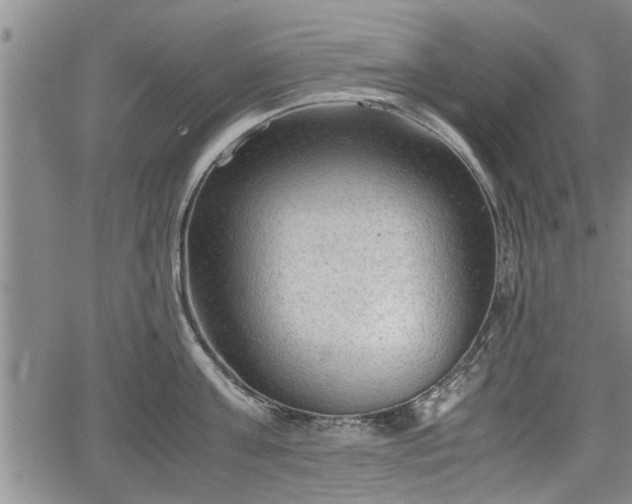 X0000067520811200604101325