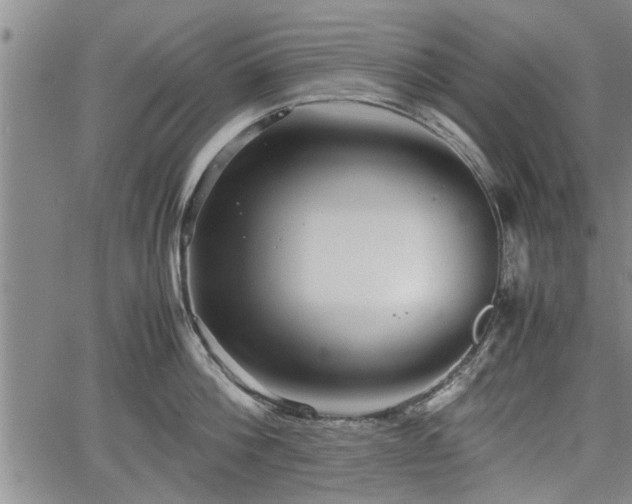 X0000067520812200604101325