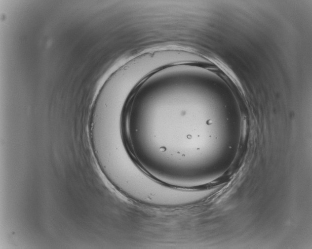 X0000067520813200604101325