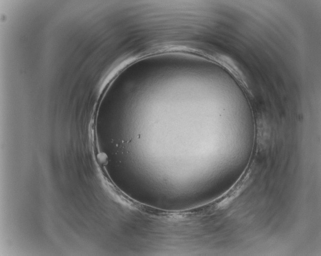 X0000067520814200604101325