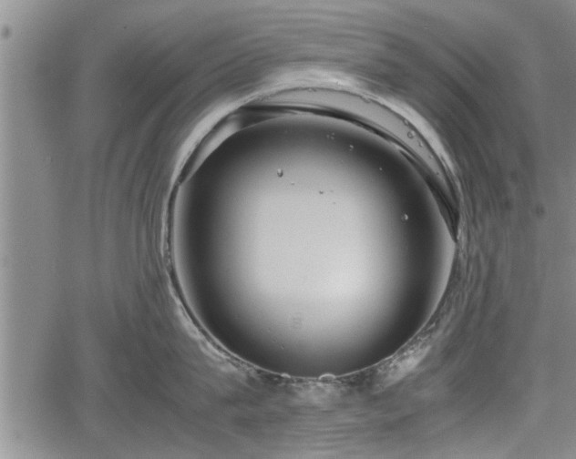 X0000067520815200604101325