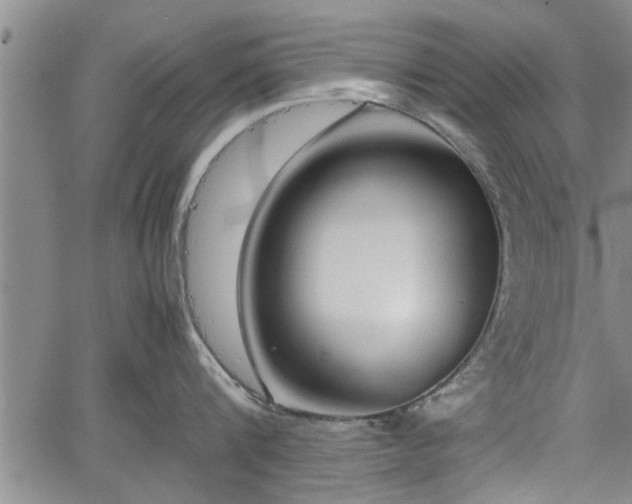 X0000067520816200604101325