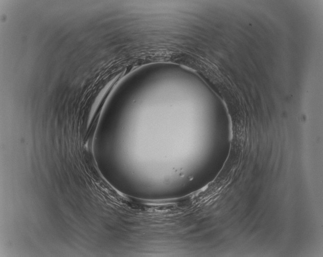 X0000067520818200604101324