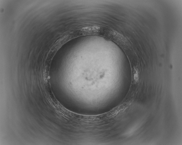 X0000067520819200604101324