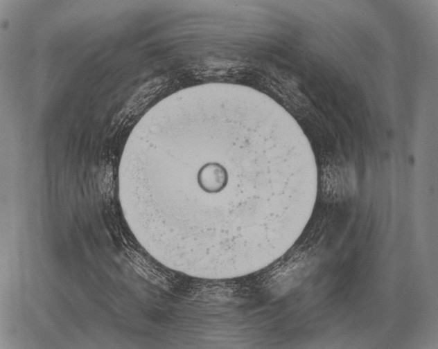 X0000067520820200604101324