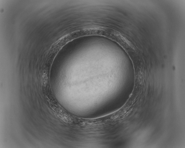 X0000067520821200604101324