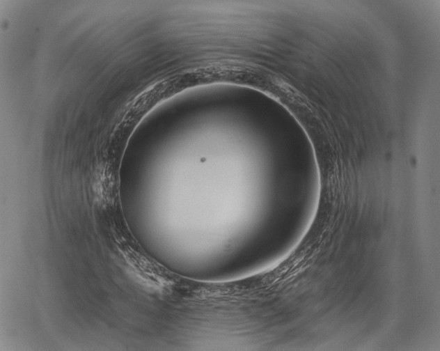 X0000067520822200604101324