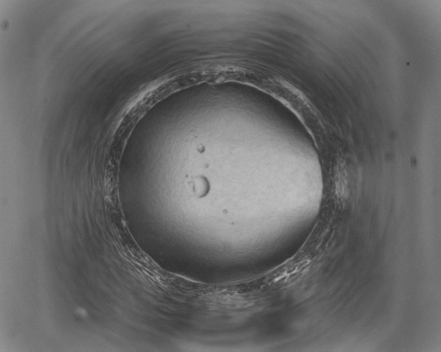 X0000067520823200604101324