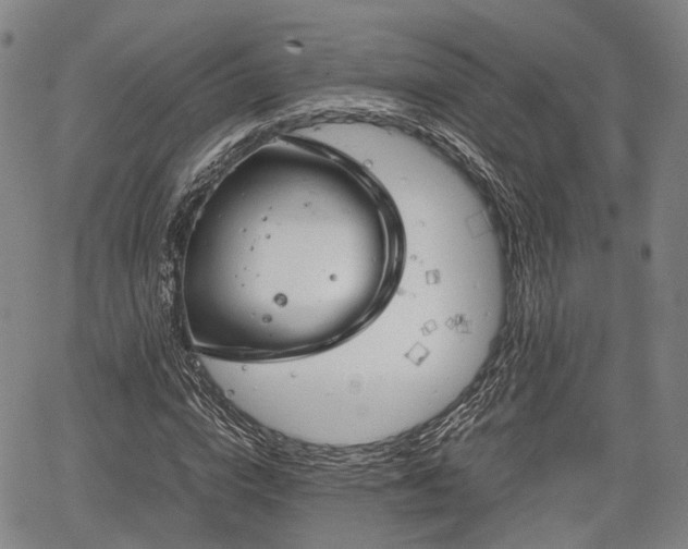 X0000067520824200604101324