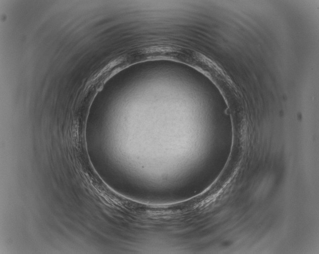 X0000067520825200604101324