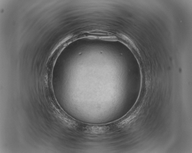 X0000067520827200604101324