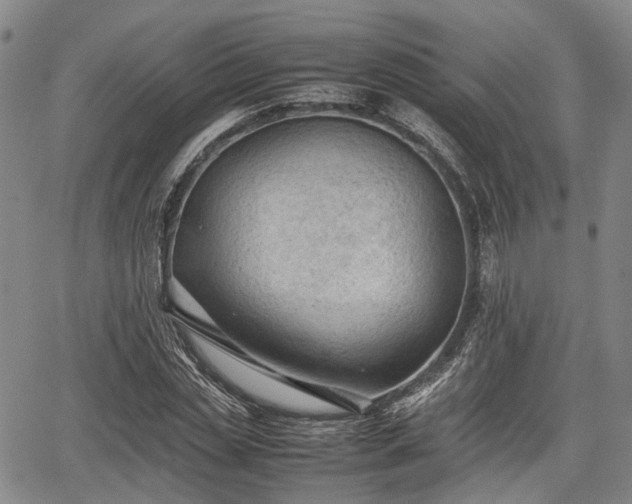 X0000067520829200604101324