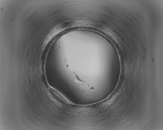 X0000067520830200604101324