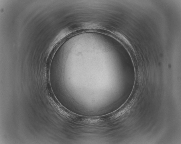 X0000067520831200604101324