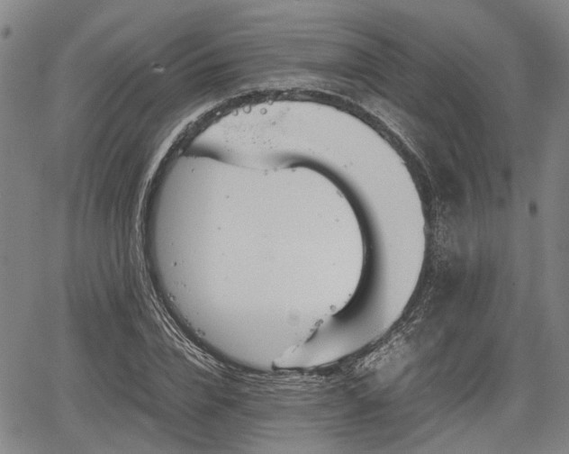 X0000067520832200604101324