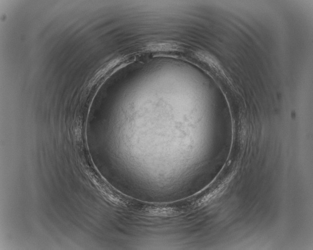 X0000067520833200604101324