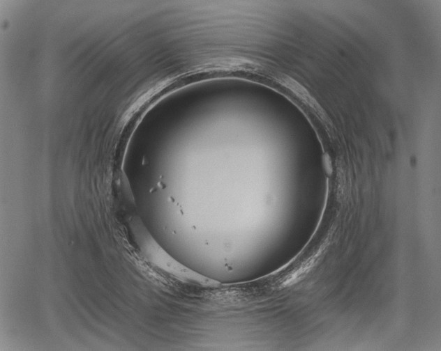 X0000067520834200604101324