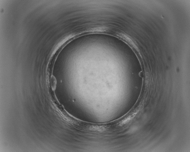 X0000067520835200604101324