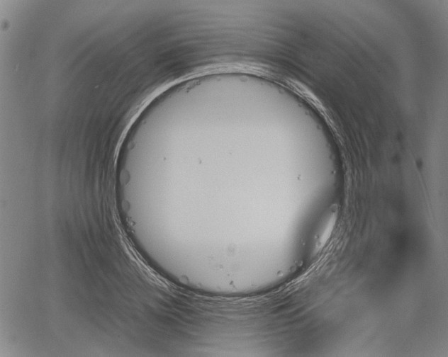 X0000067520836200604101324