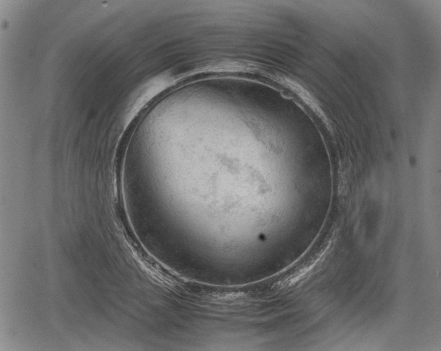 X0000067520837200604101324