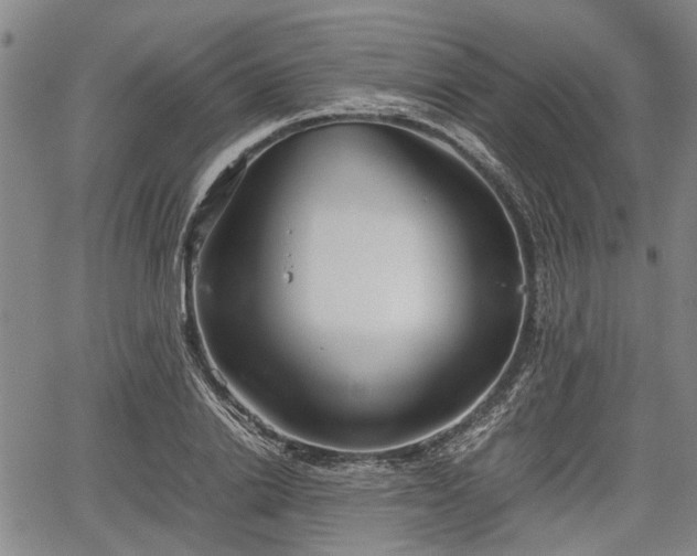 X0000067520838200604101324