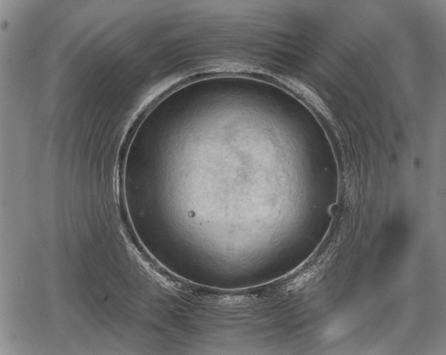 X0000067520839200604101324