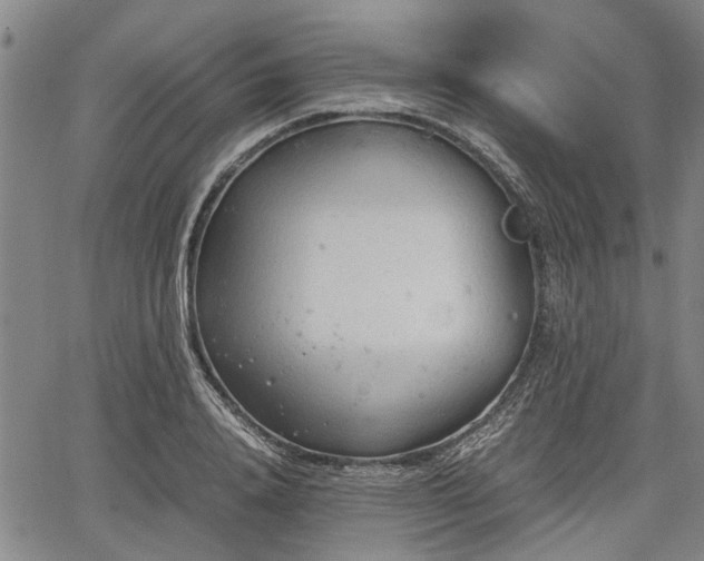 X0000067520840200604101324