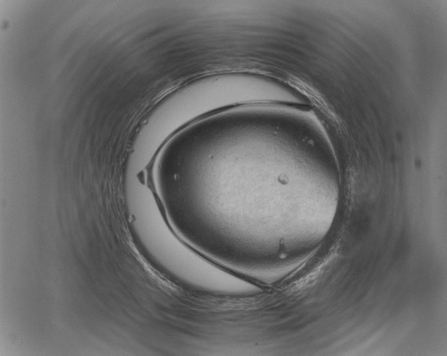 X0000067520841200604101324