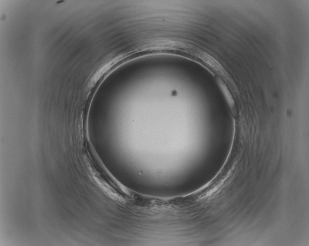 X0000067520842200604101324