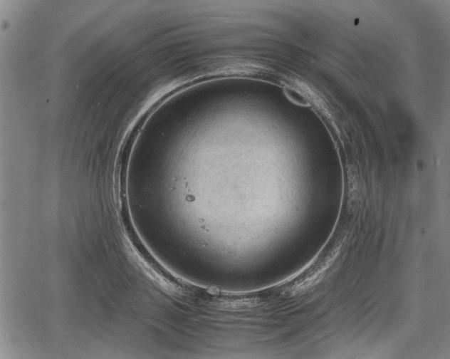 X0000067520843200604101324