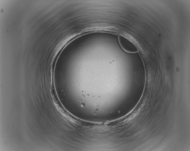 X0000067520844200604101324