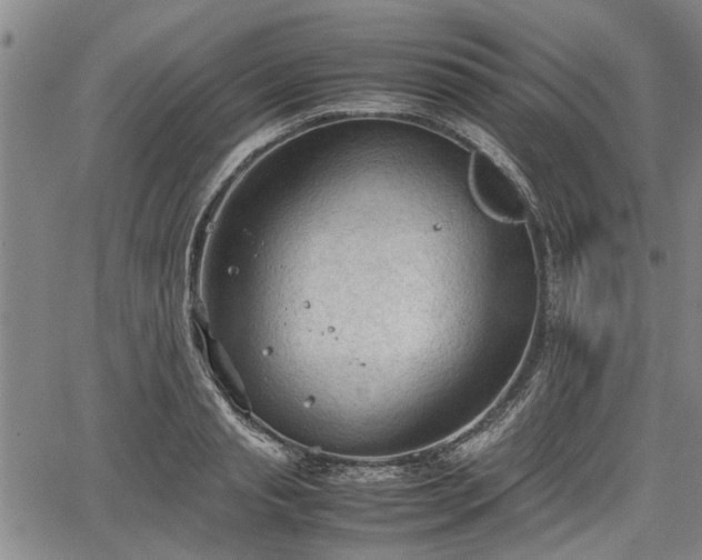 X0000067520845200604101324