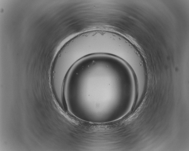 X0000067520846200604101324