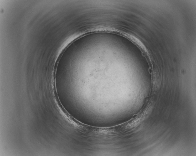 X0000067520847200604101324