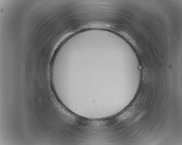 X0000067520848200604101324