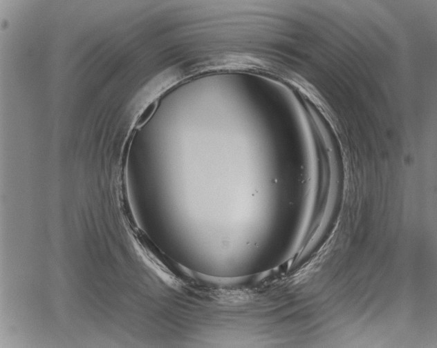 X0000067520850200604101325