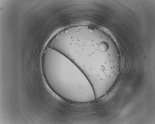 X0000067520851200604101325