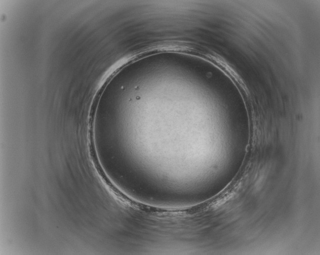 X0000067520853200604101325