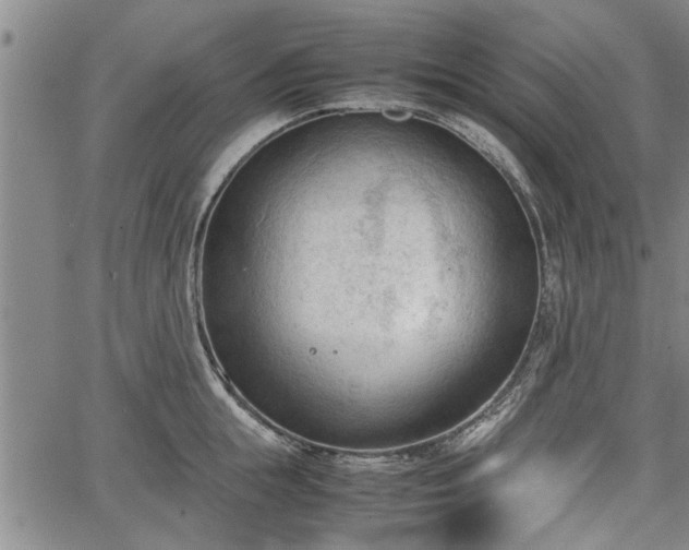 X0000067520855200604101325