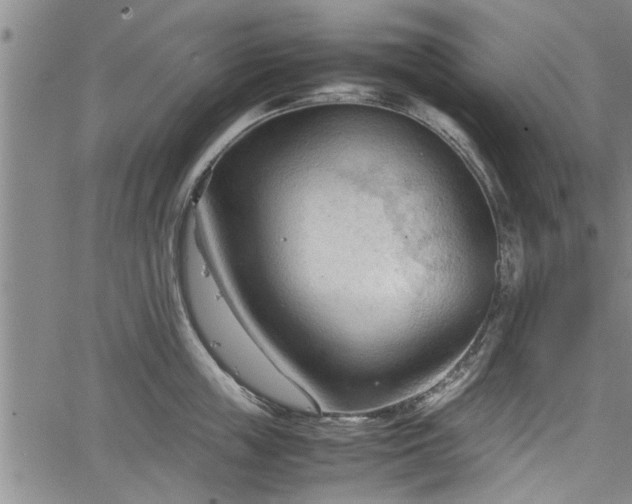 X0000067520859200604101325