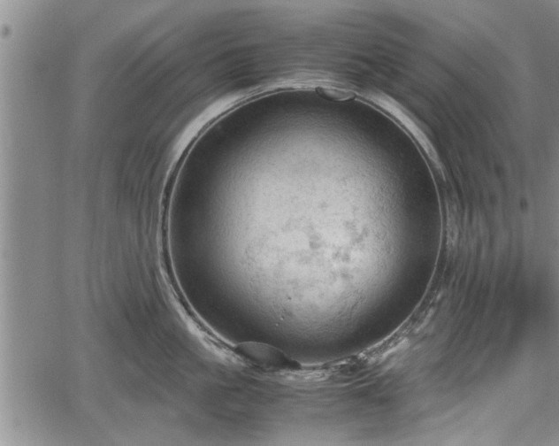 X0000067520861200604101325